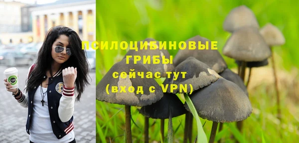 прущие крисы Елизово