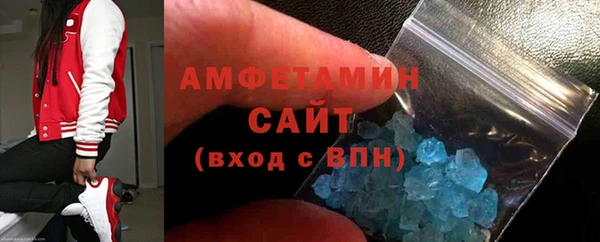 ГАЛЛЮЦИНОГЕННЫЕ ГРИБЫ Ельня