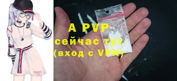 ГАЛЛЮЦИНОГЕННЫЕ ГРИБЫ Ельня