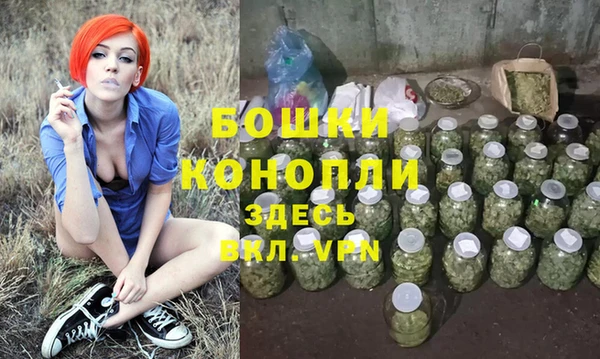 прущие крисы Елизово