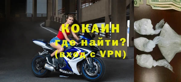 ГАЛЛЮЦИНОГЕННЫЕ ГРИБЫ Ельня
