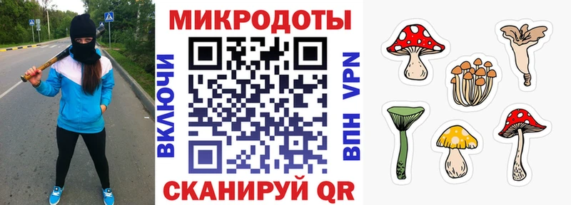 Галлюциногенные грибы прущие грибы  Купить где  Уржум 